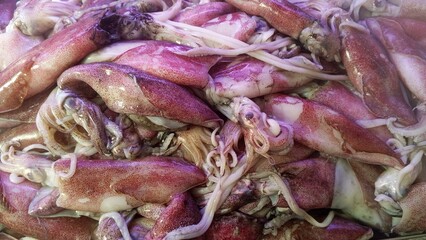 A pile of fresh squid in a supermarket ready for sale