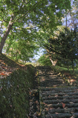 日本周遊　都北行脚　遠野鍋倉城址