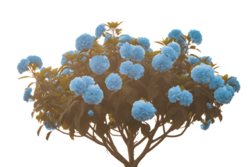 Detailed 3d rendering of a stylized coronavirus particle isolated on transparent background