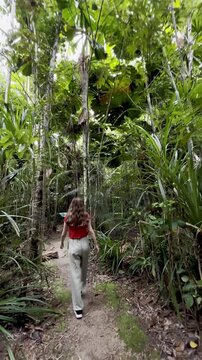 adventurous girl strolls in Licuala Forest Park admiring unique Australian fan palms (Licuala ramsayi) in lush dense rainforest, tropical North Queensland, near Cairns, Queensland, Australia