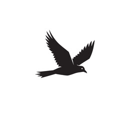 Obraz premium Silhouette of a black bird in flight with wings spread wide