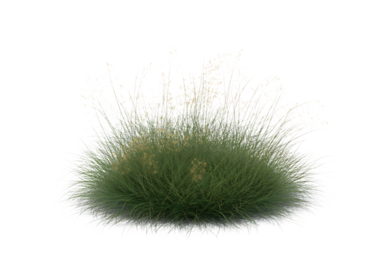 Green fuzzy spherical object with radiating wisps isolated on transparent background