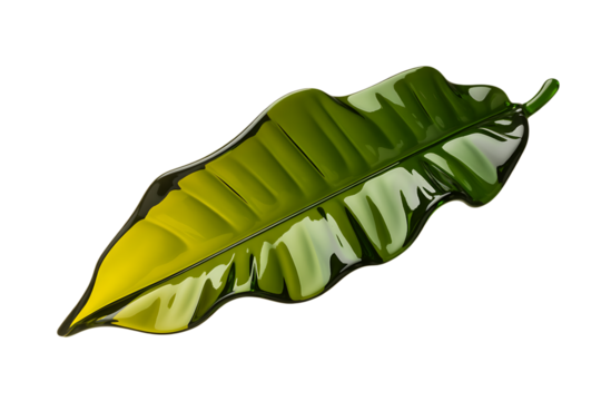Vibrant green banana leaf with yellowing tip isolated on transparent background