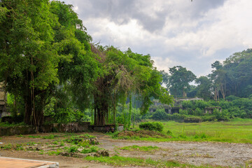 Field with trees and a bridge in the background