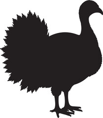 Black silhouette of a turkey bird standing white background