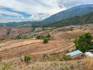 Expansive terraced fields ascend a vibrant mountain range under a dramatic cloudy sky in rural...