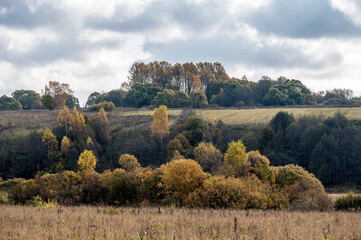 Golden autumn on a hilly plain covered with meadows and forest.