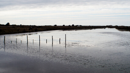 Paysages de l'île de Ré, par temps couvert