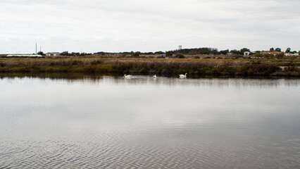 Paysages de l'île de Ré, par temps couvert