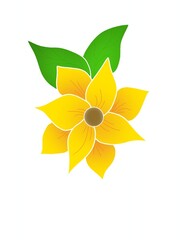 yellow flower on white background