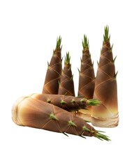 Harvest of fresh bamboo shoots ready for Asian cuisine recipes, perfect for adding a healthy, natural touch to your culinary creations and food blogging
