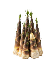 Fresh bamboo shoots ready for cooking, a culinary delight for Asian cuisine enthusiasts, promising an authentic and delightful gastronomy experience