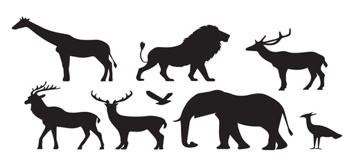 Animal silhouette collections in wildlife