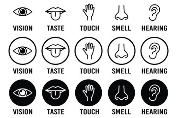Human senses icon set. Five human senses icons isolated on transparent background. Vision, smell, hearing, touch and taste senses filling sign. Five senses of human nervous system.