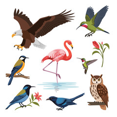 Naklejka premium A vibrant collection of diverse bird species in their natural habitats showcasing their unique colors and forms.