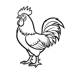 Rooster Outline PNG | Farm Chicken Vector | Black and White Poultry Illustration