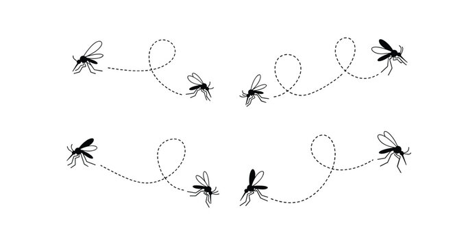 Illustration of mosquitos in flight patterns showing their erratic and unpredictable movements through the air creating buzzing loops and curves