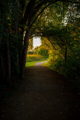 Naklejka premium dark path in the forest leading into the light at the end on the tunnel