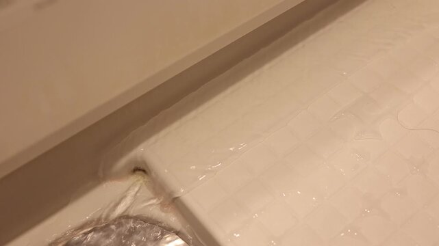 お風呂の排水口の隅に発生した黒カビ。