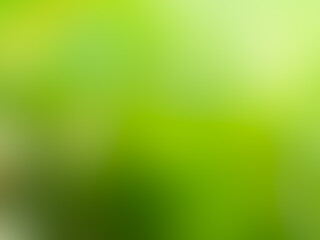 Green nature background, blur bokeh soft sunlight spring forest summer backdrop, beautiful foliage natural glowing spa aroma wallpaper leaf abstract effect beauty blurred