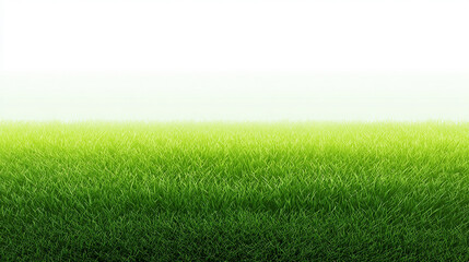 芝生のイメージ背景