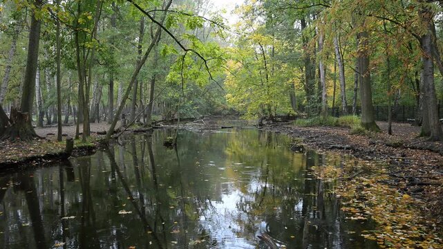 Cinematic 4K shot of a still river surface dotted with yellow/orange leaves. Chaotic raindrops and light wind emphasize the serene, yet melancholic transition from summer to the slow end of the natura