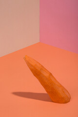 Abstract collage with ripe carrots and shadows