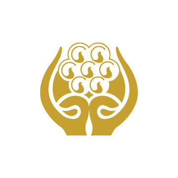 saarc circular flag icon