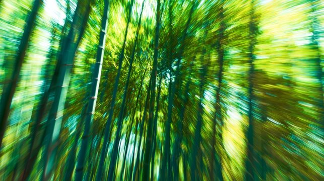 clacking. Bamboo stalks swaying and clacking in forest breeze with filtered daylight and motion blur. gardening catalogs, home-decor guides, designed for home decor and floral branding.
