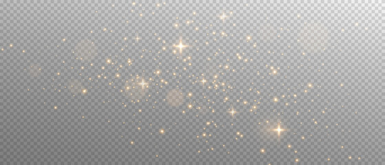 Bright golden sparkling dust on transparent background. Vector bokeh glow and shimmering light texture for luxury celebration, Christmas, or New Year decoration design. © Ihor Nemynushchyi