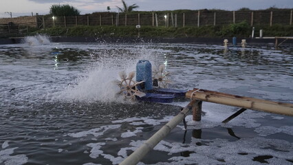 Paddle Wheel Aerator in a Fish or Shrimp Pond