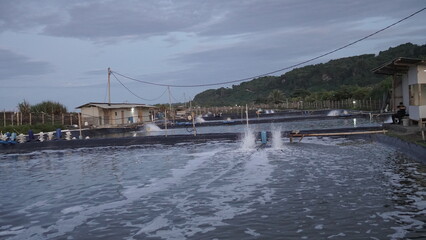 Fototapeta premium Paddle Wheel Aerator in a Fish or Shrimp Pond