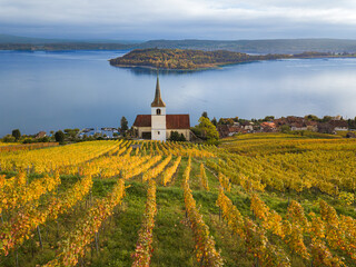 The reformed pilgrimage church in Ligerz Village and the St. Peters Island in the golden autumn vinyards at the lake of Biel in Switzerland