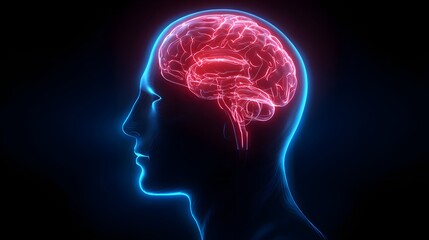 Obraz premium Glowing human brain and head silhouette on dark background.