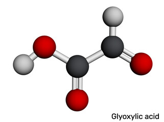 Glyoxylic acid molecule. Synthesis of hydroxyphenylglycine and amoxicillin precursor; hair straightening cosmetic chemistry; glyoxylate cycle metabolism. Molecular model. 3D rendering. Illustration