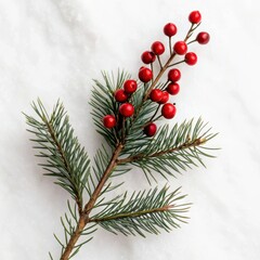 Flowers and Leaves in Christmas New year PNG concept. A green pine branch with red berries against a light background, evoking a festive atmosphere.