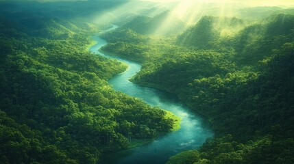 Obraz premium A serene winding river flows through dense lush green forest under golden sunlight rays breaking through misty sky