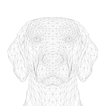 A geometric Weimaraner dog head composed entirely of triangular facets creates a modern wireframe illustration.