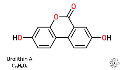 Urolithin A molecule. Nutraceuticals, sports recovery. Vector illustration