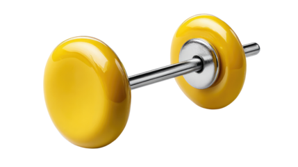 Dumbbell: A solitary dumbbell, embodying strength and fitness, poised against a clean backdrop, its metallic sheen reflecting the dedication to personal health.