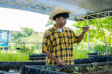Young teen boy working in the farm.