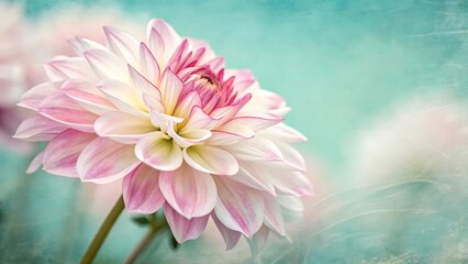Soft focus macro shot of a delicate pink dahlia flower with subtle bokeh background