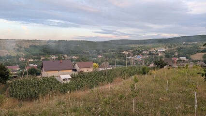 A beautiful scenic rural landscape featuring charming homes, vast fields, and natures beauty