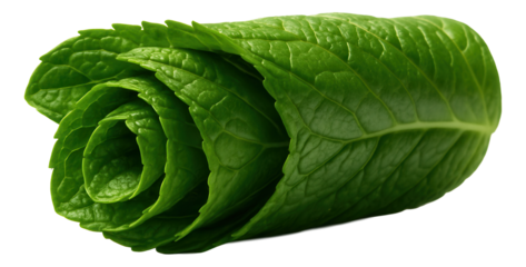 Creamy Jerusalem artichoke gratin in a small casserole dish, with a bubbling, golden cheese crust.