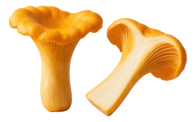 Porcini mushroom and thyme galette, with a rustic, freeform crust enveloping a savory mushroom filling on parchment paper