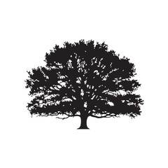 Magnificent Oak Tree Silhouette with Expansive Branches and Rich Foliage Symbolizing Strength Wisdom and Longevity Ideal for Nature and Landscape Designs Isolated on White Background