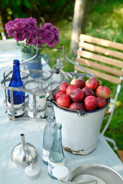 Enamel bucket filled with Melba and Ingrid Marie apples in garden setting