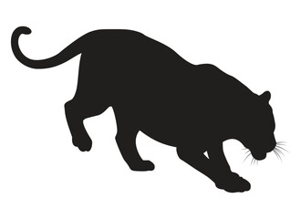 A crouching big cat in an aggressive stance, depicting a tiger or feline predator about to pounce or attack