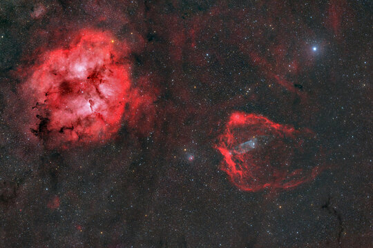 Flying Squid and Elephant's Trunk Nebulae in space at night