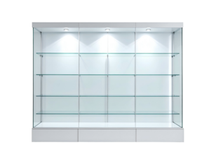 A modern, empty glass display case with interior lighting, perfect for showcasing items